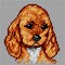 Gobelin canvas for halfstitch without yarn Small Spaniel 1469D